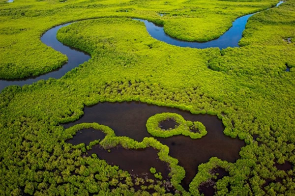 Gambia - Niumi-National-park